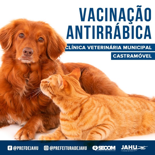 VACINAÇÃO CONTRA RAIVA NA CLÍNICA VETERINÁRIA E NO CASTRAMÓVEL: VEJA QUANDO VAI ESTAR DISPONÍVEL