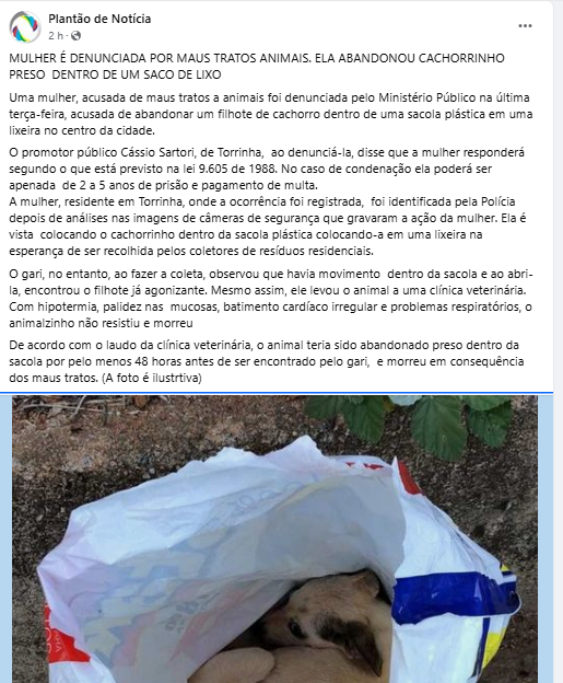 Plantão de Notícia divulga abandono de cachorro em saco de lixo na cidade de Torrinha