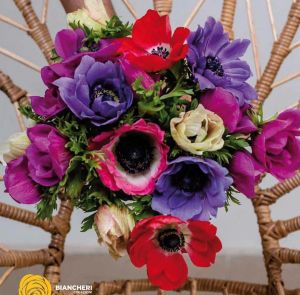 Novidades em flores, plantas, decoração e jardinagem são apresentadas em Holambra