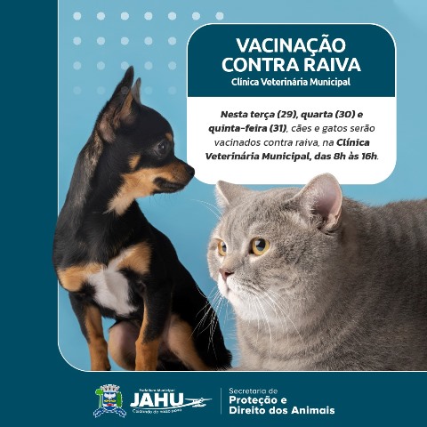 Vacinação contra raiva em Jaú na próxima semana