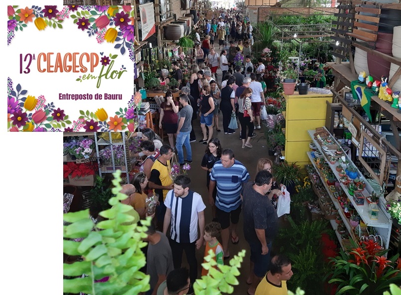 CEAGESP preenche Bauru de colorido das flores com feira neste fim de semana