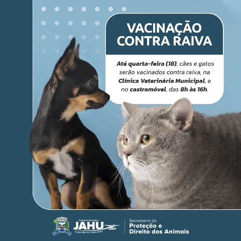 VACINAÇÃO CONTRA RAIVA DE GRAÇA NA CLÍNICA MUNICIPAL E NO CASTRAMÓVEL