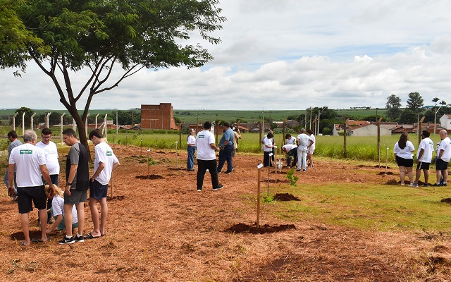 UNIMED REGIONAL JAÚ PROMOVE O PLANTIO DE 50 MUDAS EM HOMENAGEM A PACIENTES ONCOLÓGICOS