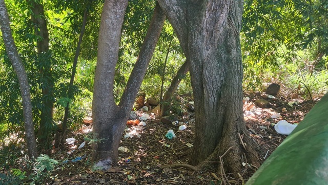 Águas de Jahu promove limpeza da mata ciliar no Cano Torto em parceria com a Prefeitura e SAEMJA