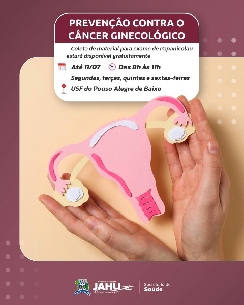PREVENÇÃO CONTRA O CÂNCER GINECOLÓGICO NA USF DO POUSO ALEGRE DE BAIXO