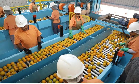 Confira a lista de quase 700 produtos que não serão taxados pelos EUA