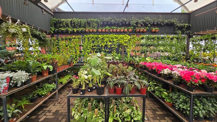 14ª CEAGESP em Flor leva um pedacinho da natureza ao Bauru Shopping neste fim de semana