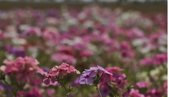 Primavera começa com chegada de frente fria, temporais e fortes ventos