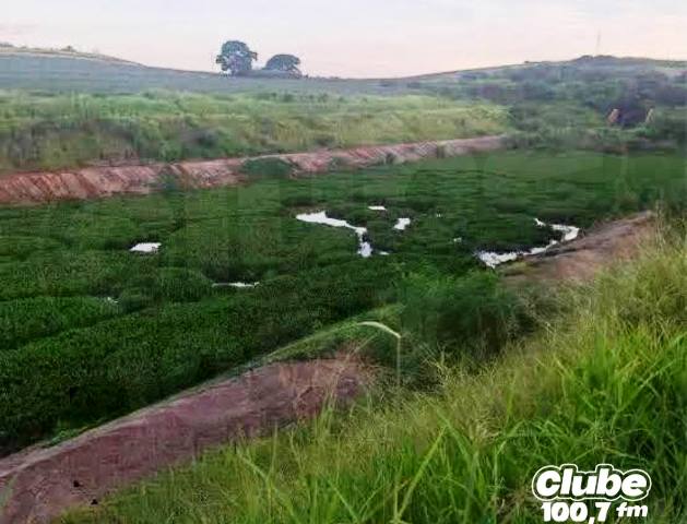 Após denúncia e relatório da CETESB, Prefeitura anuncia limpeza no lago do Jardim Maria Luiza IV