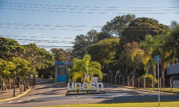 Unesp divulga lista de aprovados no vestibular 2026: veja link para os resultados