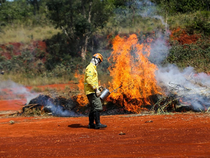 Ação humana é a principal causa de incêndios; confira dicas da Defesa Civil